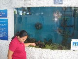 Aquarium 012.jpg (610434 bytes)