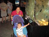 Aquarium 008.jpg (690068 bytes)