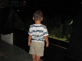 Aquarium 009.jpg (399025 bytes)