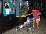 Aquarium 011.jpg (895609 bytes)