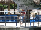Aquarium 015.jpg (666204 bytes)
